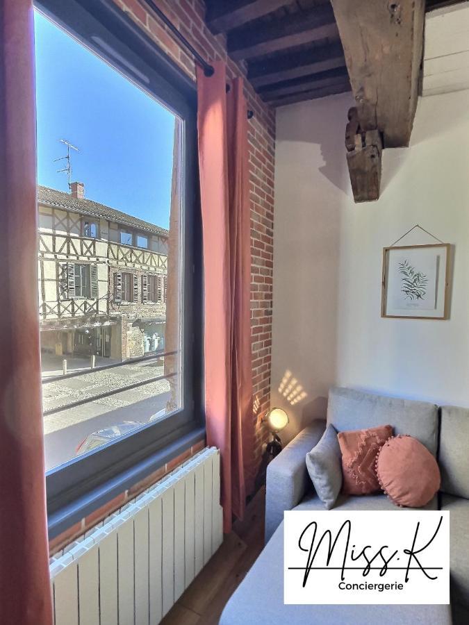 "La Fenetre Sur Le Marche" De Miss.K Conciergerie Apartment Châtillon-sur-Chalaronne Екстериор снимка