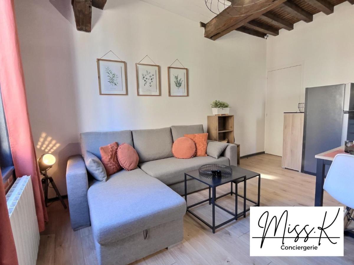 "La Fenetre Sur Le Marche" De Miss.K Conciergerie Apartment Châtillon-sur-Chalaronne Екстериор снимка