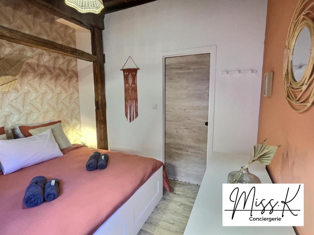 "La Fenetre Sur Le Marche" De Miss.K Conciergerie Apartment Châtillon-sur-Chalaronne Екстериор снимка